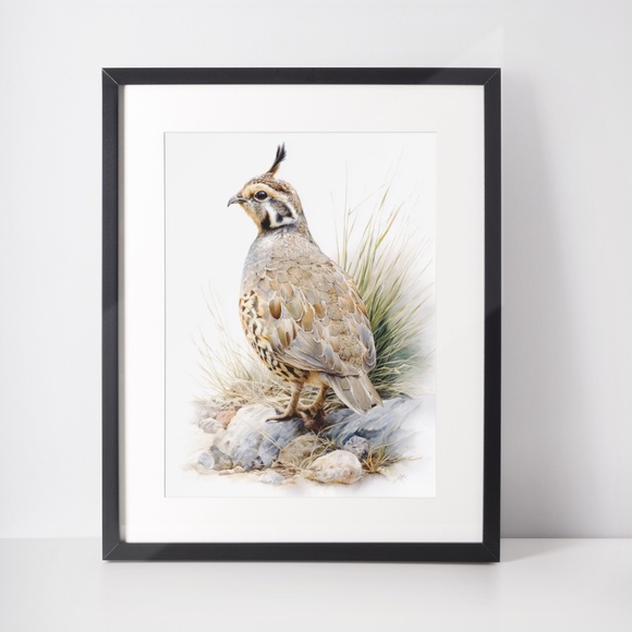 Watercolor Quail Wall Art Print, Unframed - Vibrant Nature-Inspired Home Decor - Picture 3 of 6